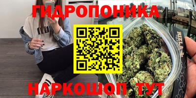 PSILOCYBIN Северобайкальск