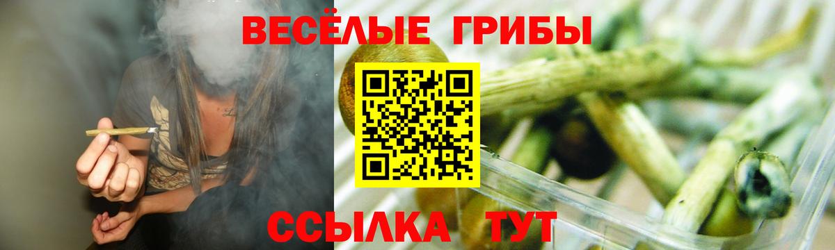 Галлюциногенные грибы мицелий  Вход с VPN  Новошахтинск 